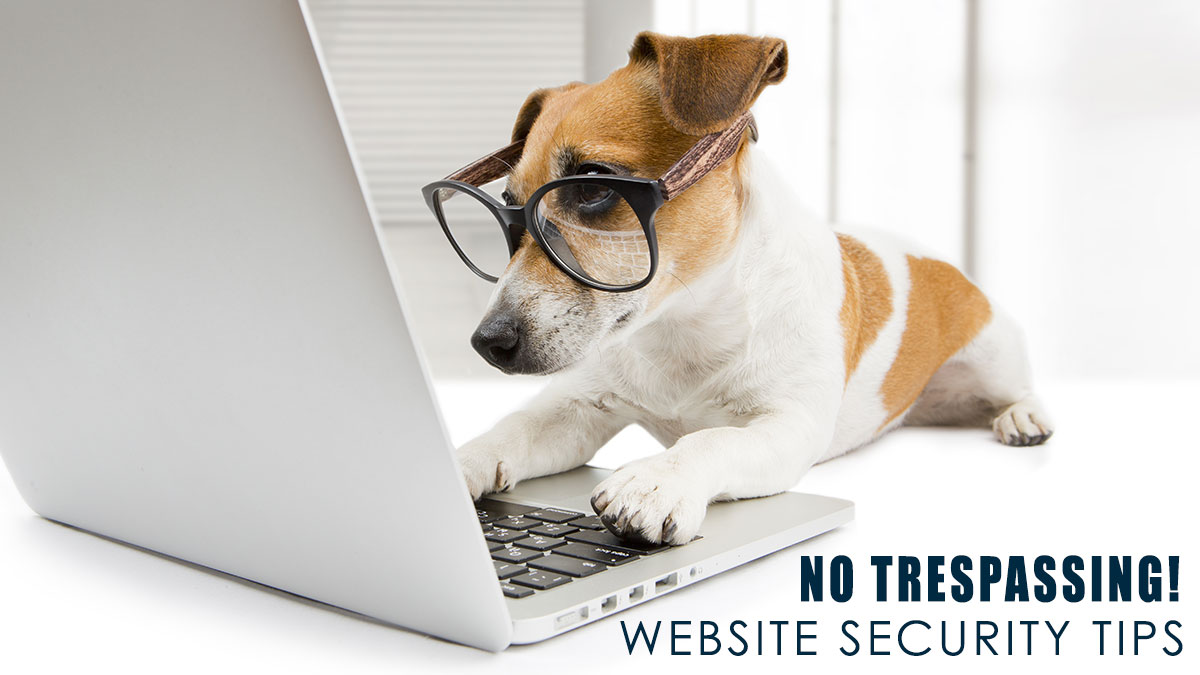 security Ασφάλεια Ιστοσελίδων | D3 Solutions - Digital Agency